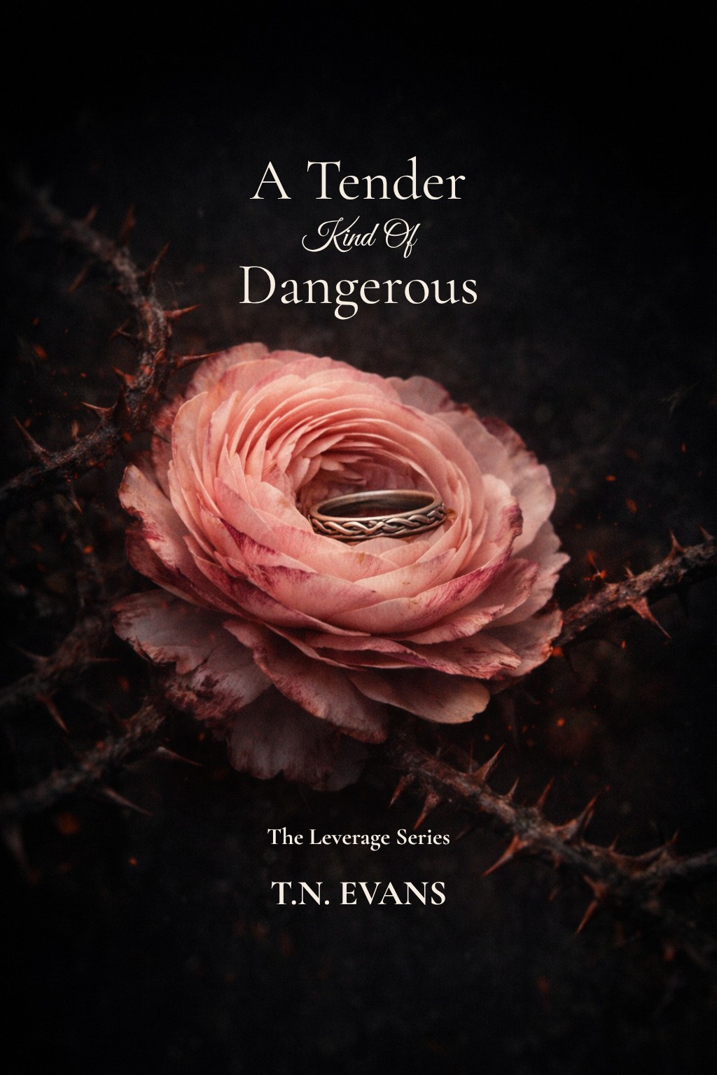 A Tender Kind of Dangerous book cover